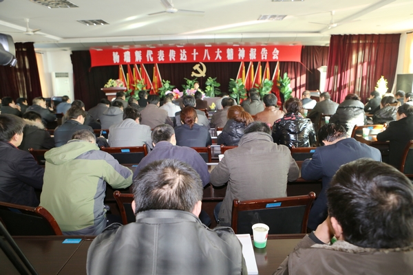 十八大代表杨瑞辉宣讲十八大精神 十八大代表杨瑞辉宣讲十八大精神