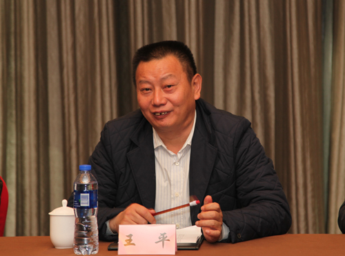 重庆化医集团董事长王平发言