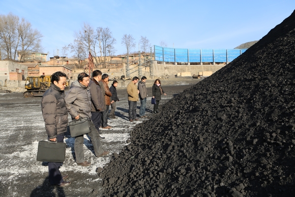 检查组成员深入煤场了解煤质情况 检查组成员深入煤场了解煤质情况