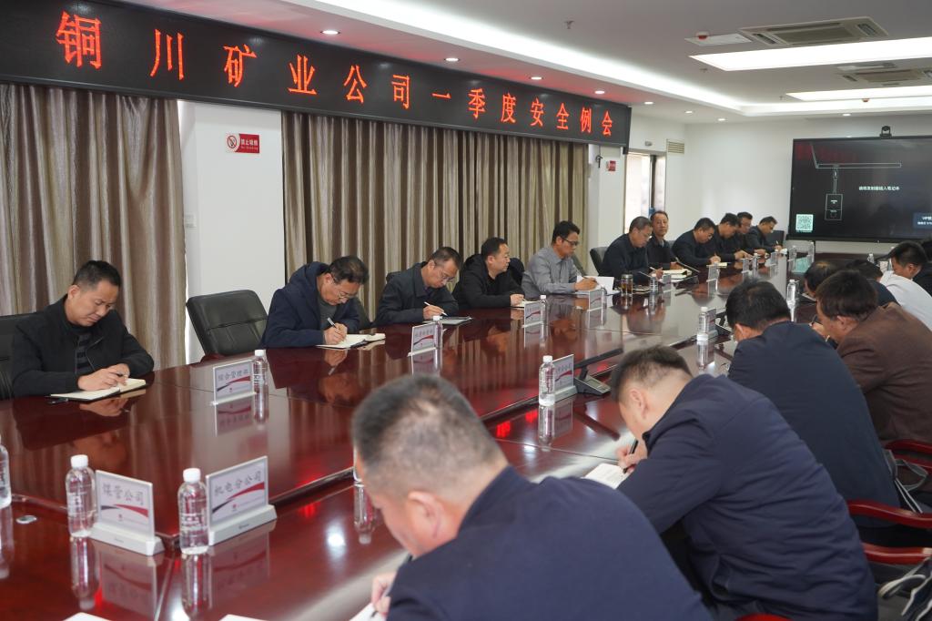 公司召开一季度安全例会